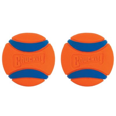 Chuckit! Ultra Rubber Ball Dog Toy