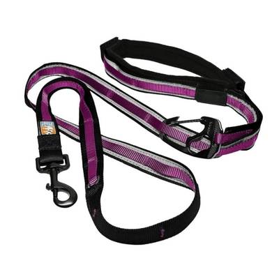 Kurgo 6-in-1 Quantum Dog Leash