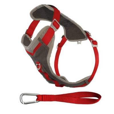 Kurgo Journey Multiuse Dog Harness- Best for Active Dogs