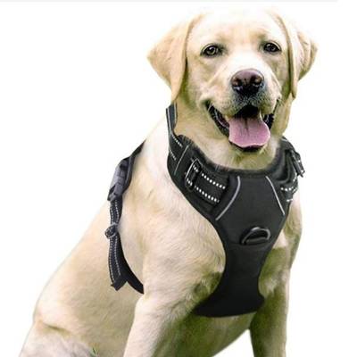 Rabbitgoo Dog Harness- Best for Big Dogs