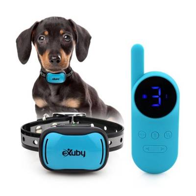 eXuby Shock Collar