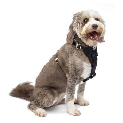 Kurgo Tru-Fit Enhanced Strength Dog Harness