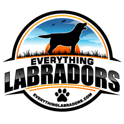 Everything Labradors logo