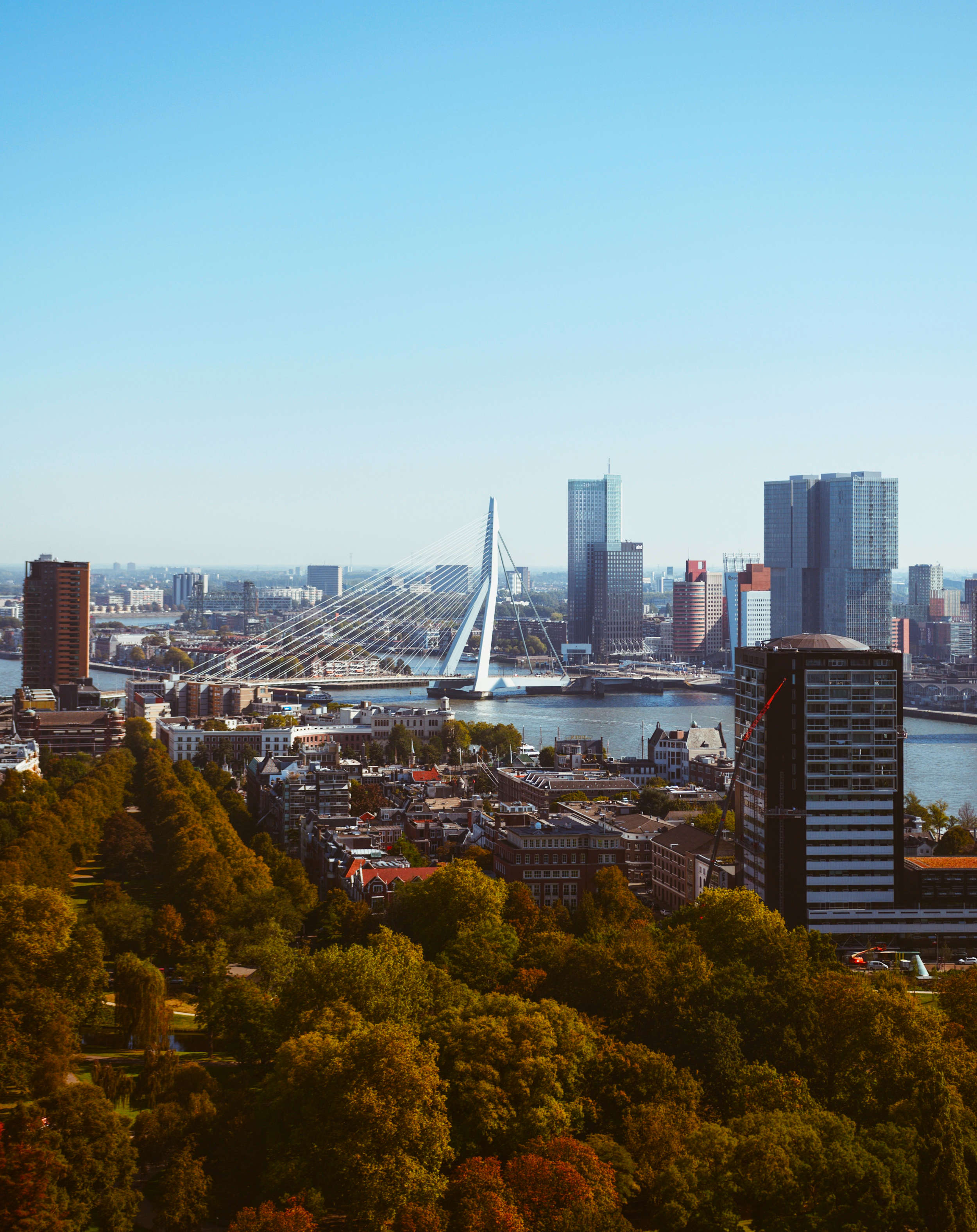 Photo by Flori & Almi Weit.Gereist - Silvan Digital Studio Webdesign Rotterdam