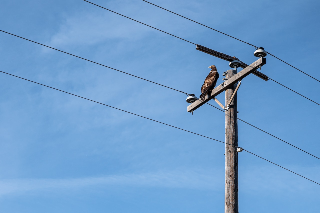 Why You Should Use A Temporary Power Pole? Poles and Holes