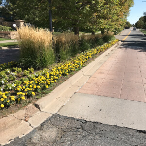grasses and mulch from providence property maintenance landscaping commercial snow removal