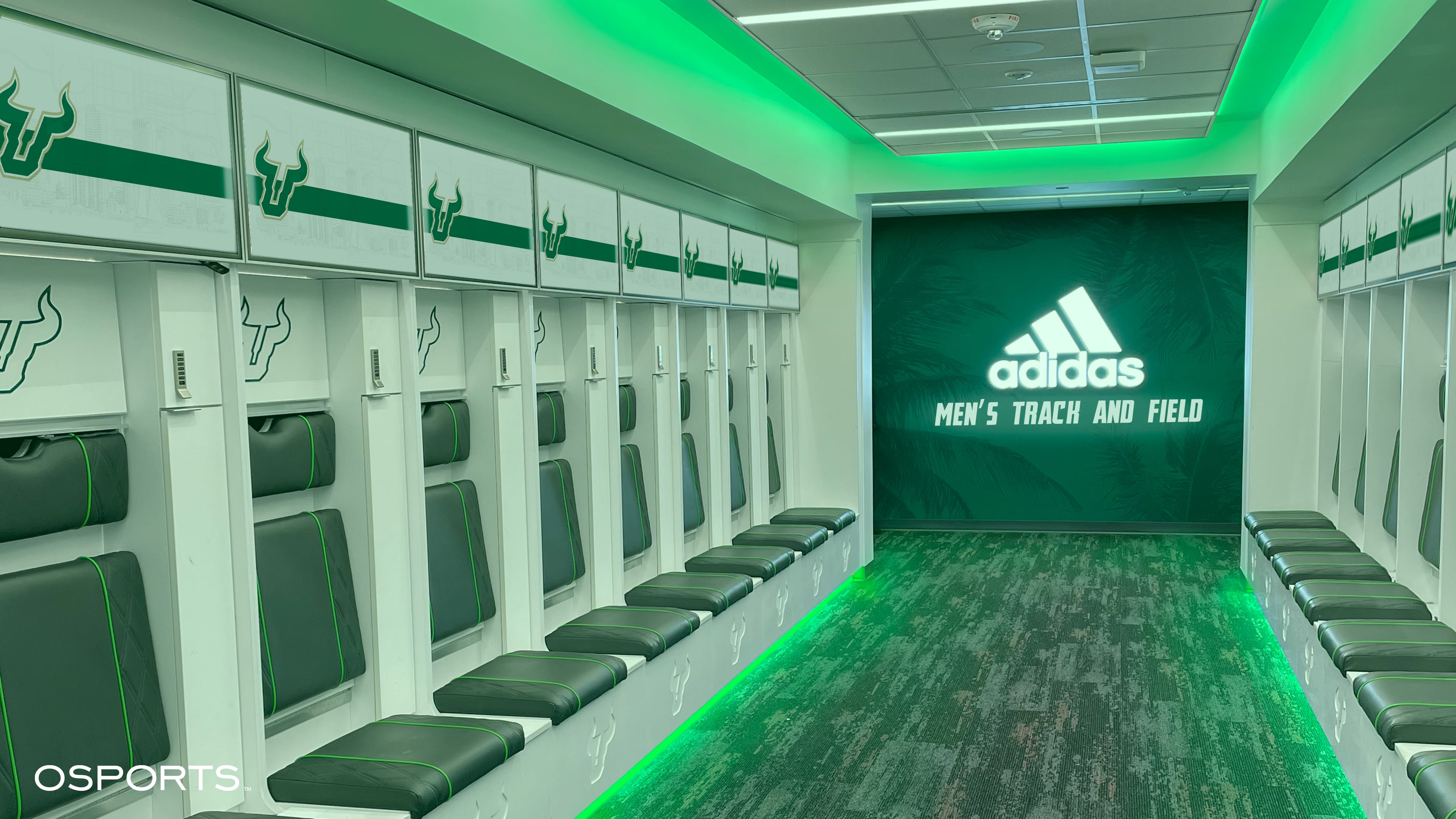 University Of South Florida Track And Field Recruiting Standards - hv4m74h