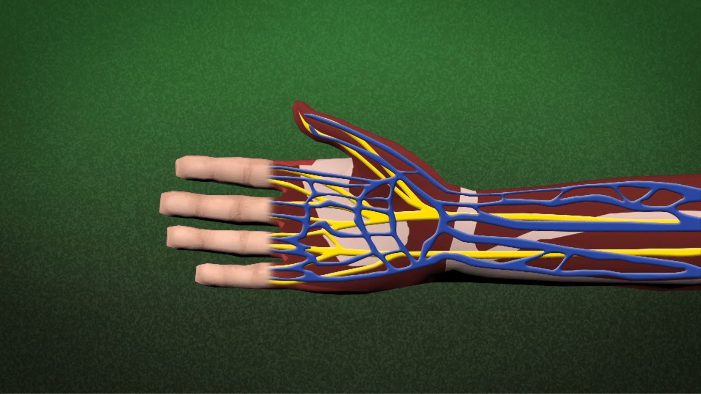 Hand, Wrist, And Finger Safety