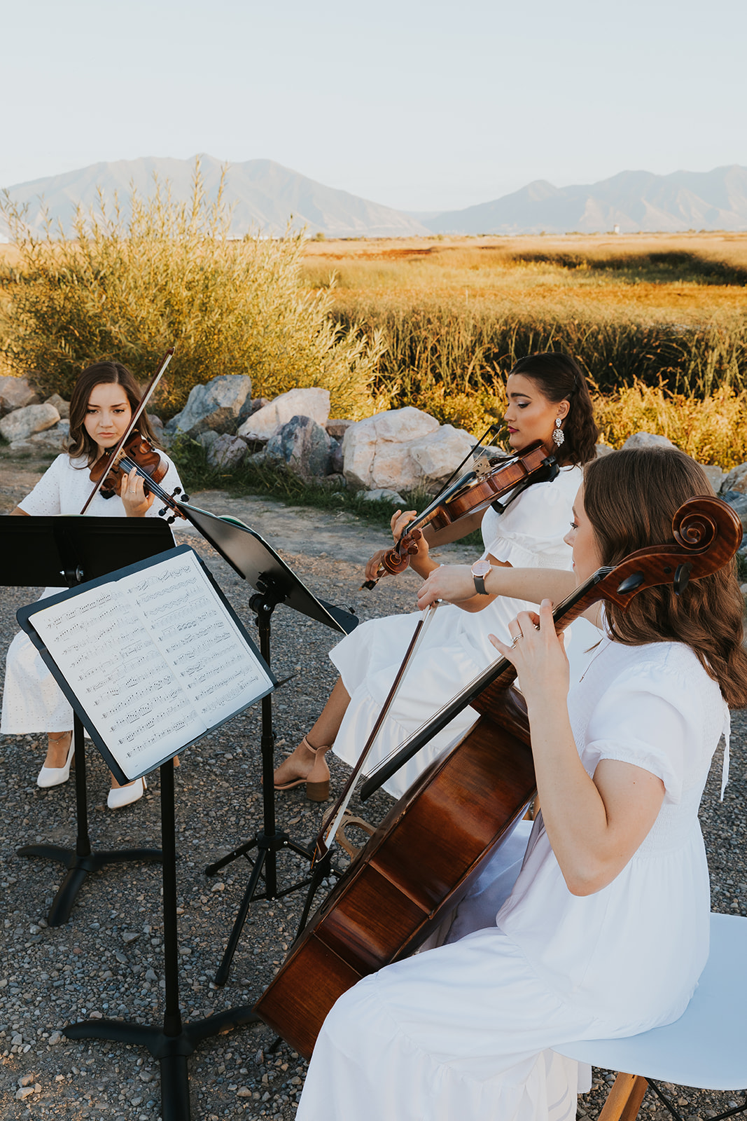 Artiva Strings Utah Modern String Quartet Group