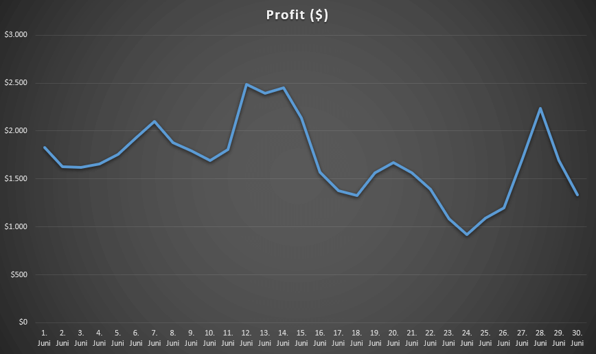 Profit Juni 2022 Shirt Business