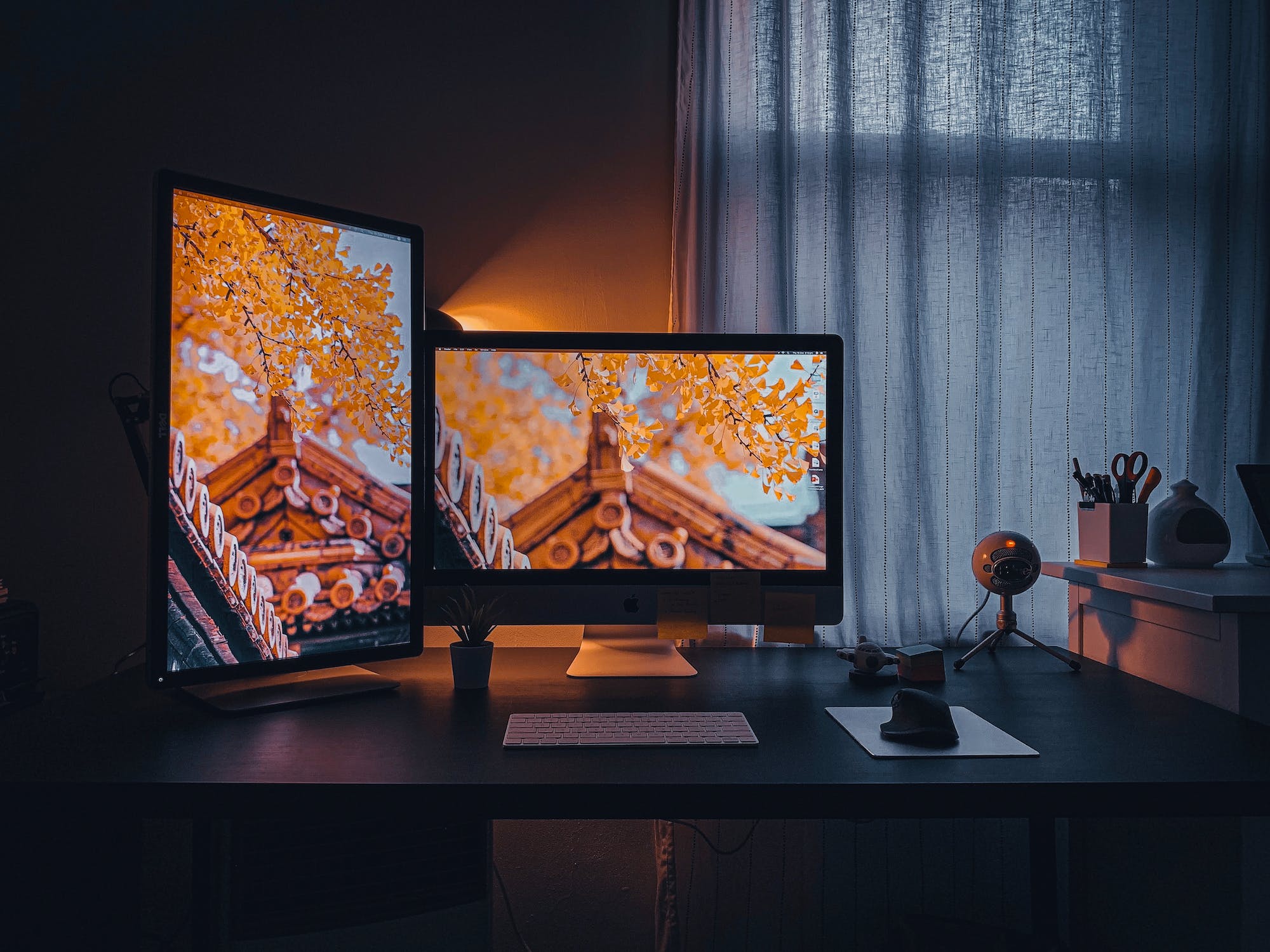 Why You Should Choose a Local Web Design Company in Sydney — article thumbnail