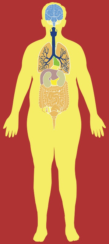 Consequences of obesity