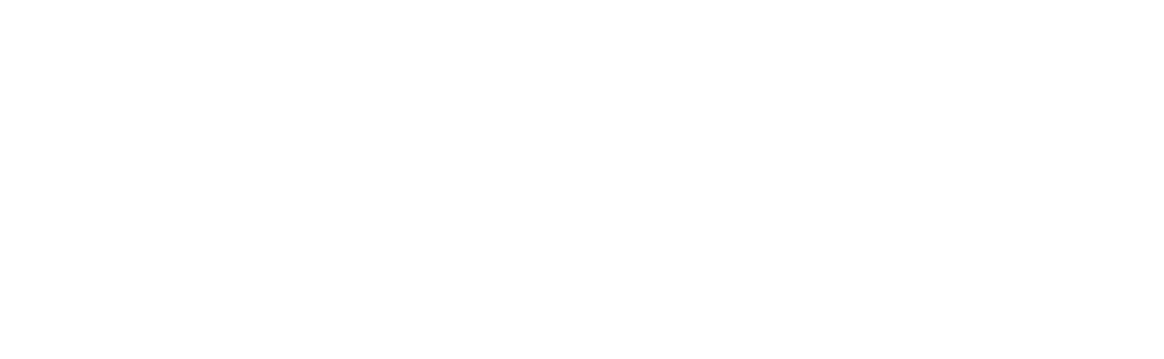 CNDI Logo