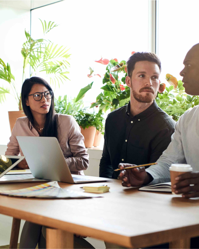 people in a meeting