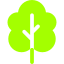 ícone de árvore verde