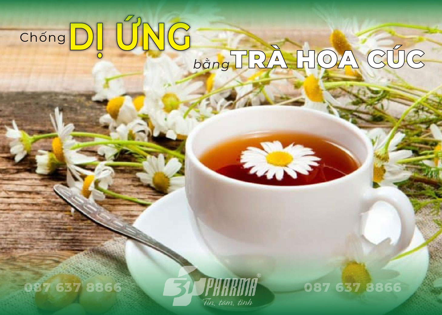 Chống dị ứng, bị nổi mụn khắp người bằng trà hoa cúc