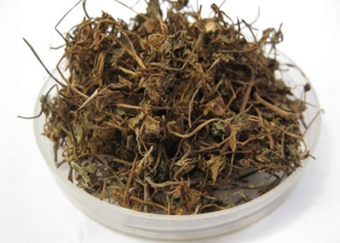 Chữa viêm đường tiết niệu bằng rau má khô