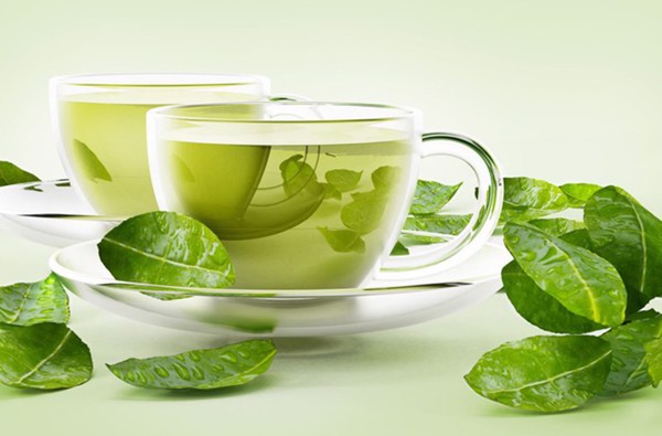 Cách trị nhiệt miệng tận gốc bằng lá chè xanh tại nhà