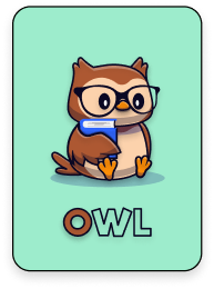 owl

