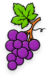 grapes
