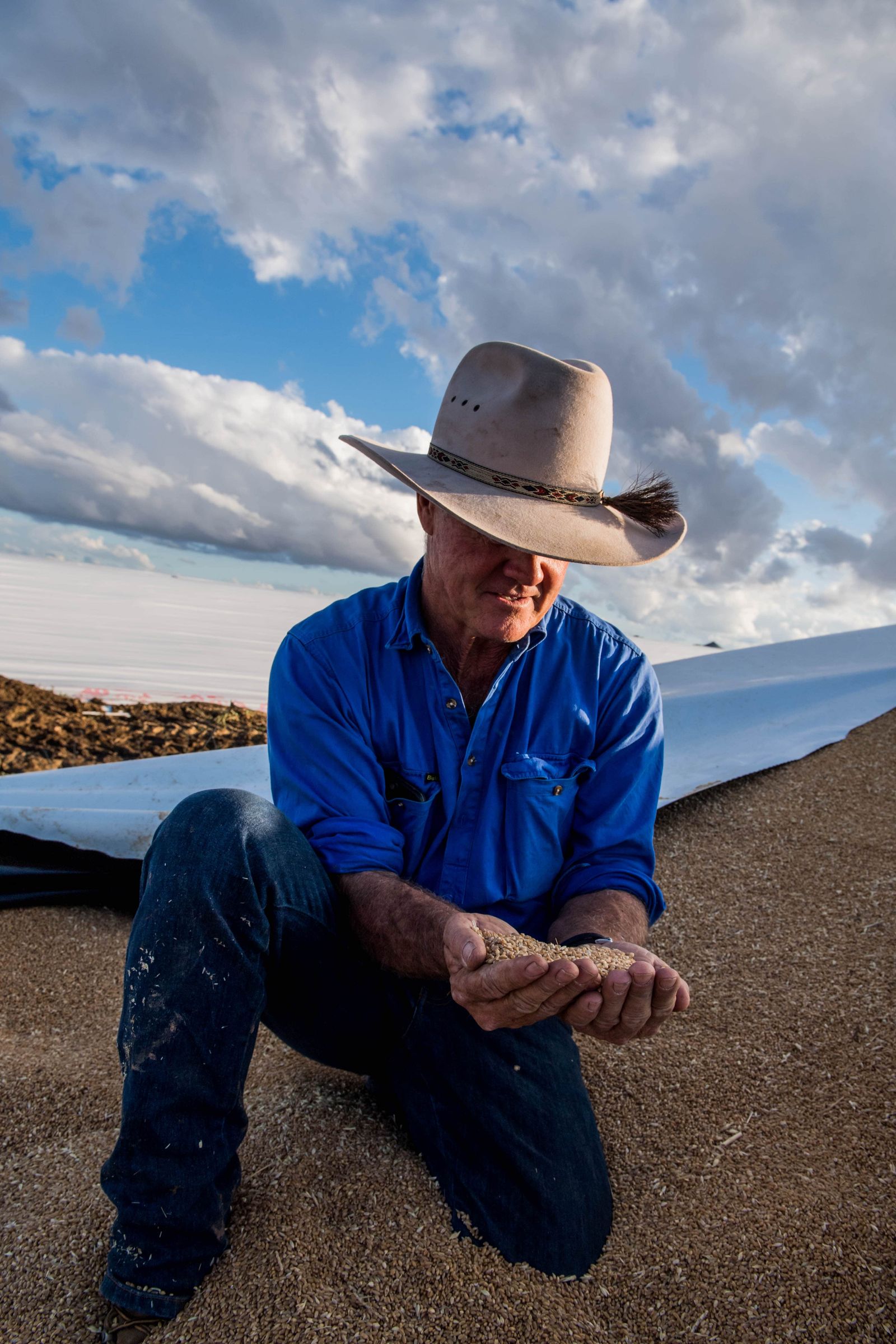 AgriDigital Australia's leading grain management software