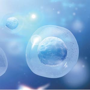 ヒト羊水細胞順化培養液