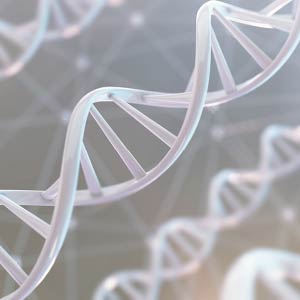 ヒト骨髄幹細胞順化培養液