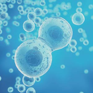 ヒト遺伝子組換ポリペプチド-1（EGF）