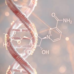 NMN ニコチンアミドモノヌクレオチド