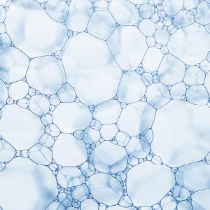 ヒト線維芽細胞順化培養液