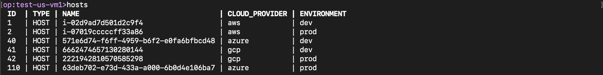 Custom tags are also picked up by Shoreline from each cloud.