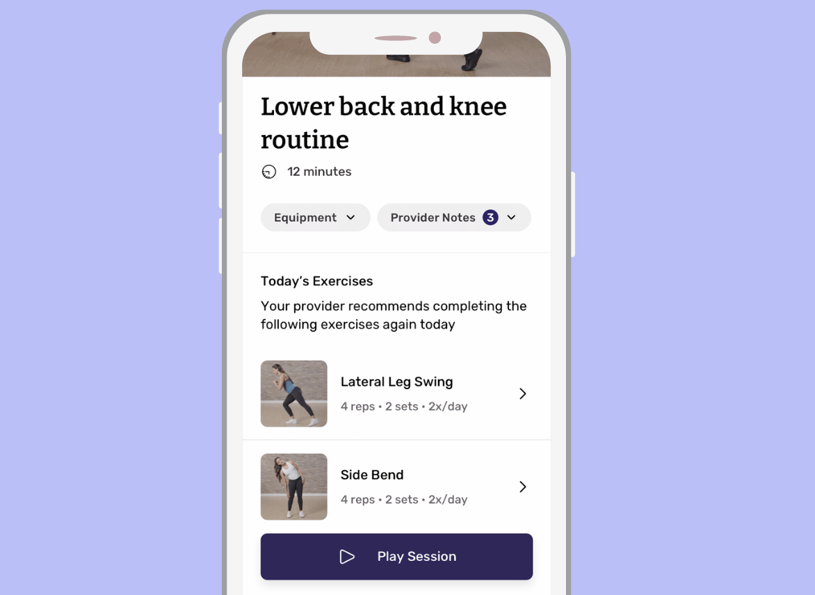 Physical Therapy Home Exercise Program (HEP)