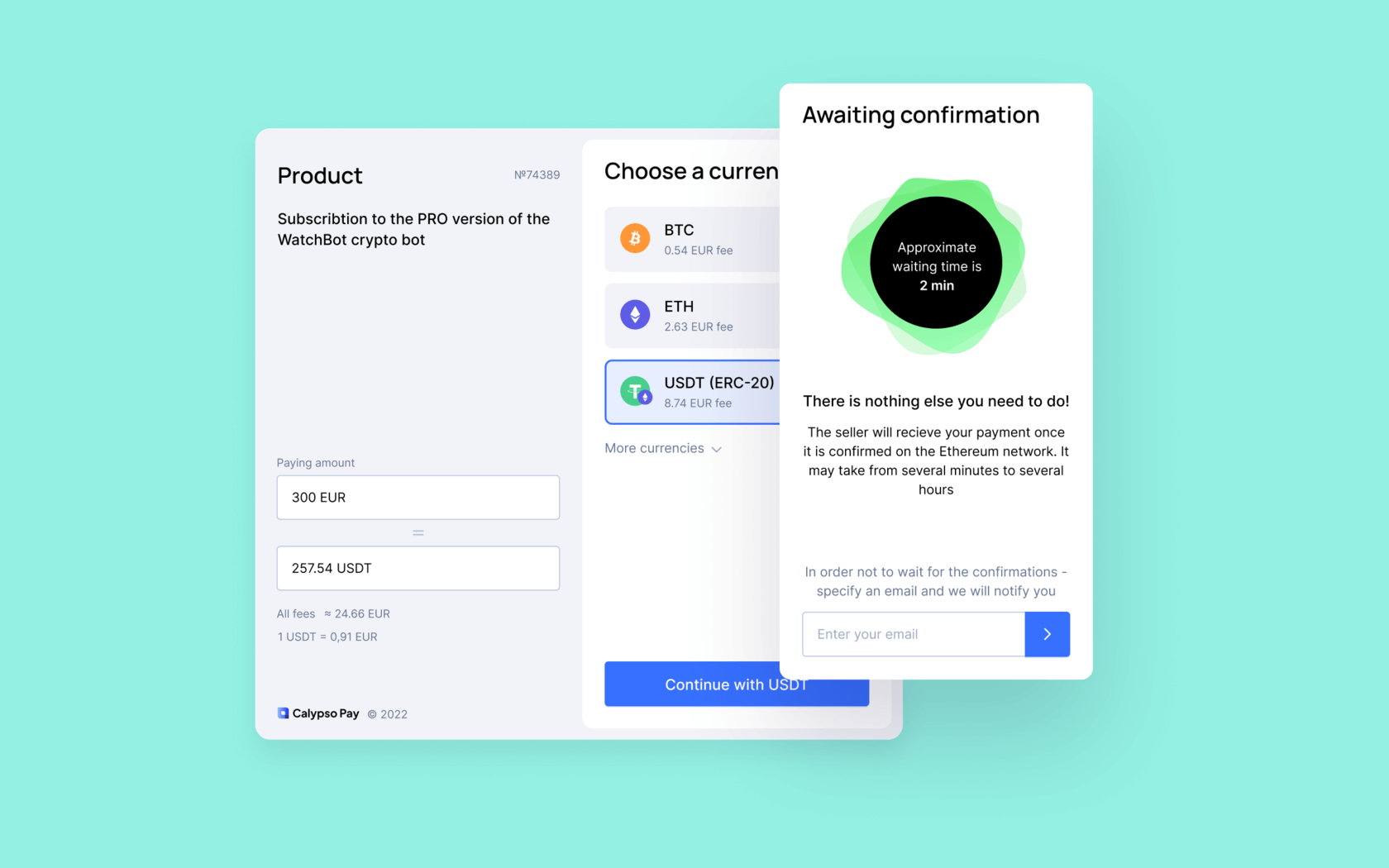 Calypso Pay Payment widget