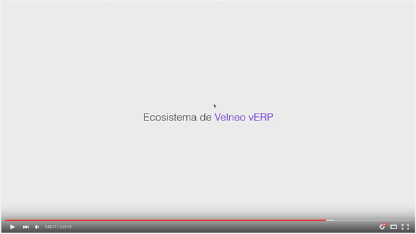 Quiero programar un ERP y ser rentable vendiéndolo 4 velneo erp 4
