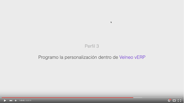Quiero programar un ERP y ser rentable vendiéndolo 3 velneo erp 3