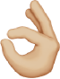 Ok Sign Emoji