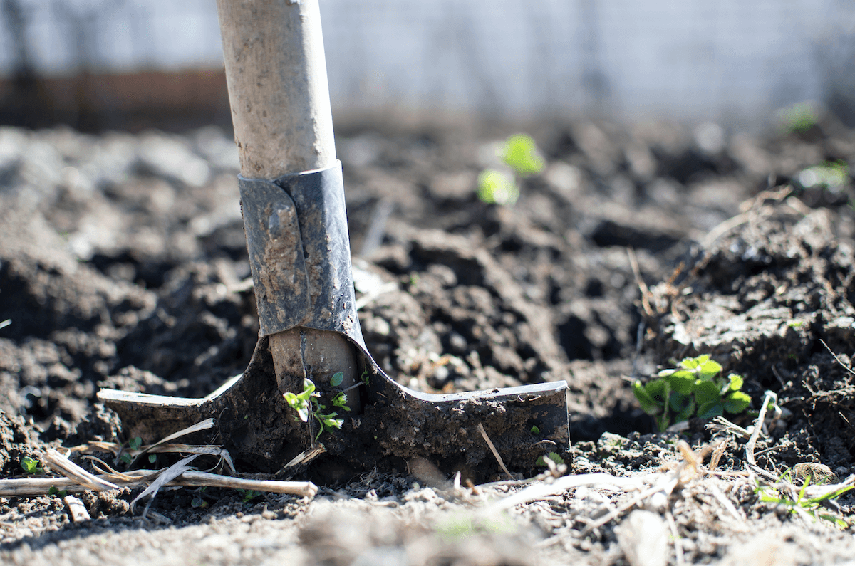 How Local Food Marketplace And Routific Help Farmers And Food Hubs