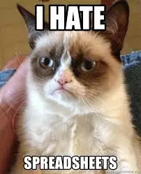 Meme: Picture of a grumpy cat with the words "I hate spreadsheets"