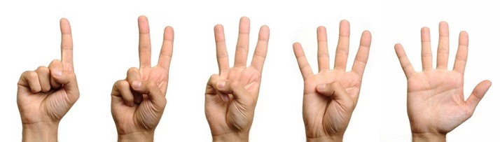 Photo collage of five hands, holding up from one to five fingers each.