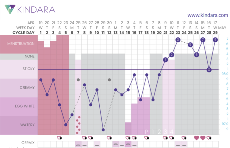 One of my Kindara charts.