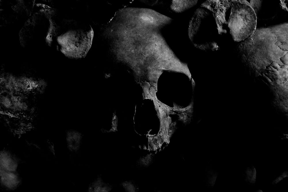 62c6b3f2b9a8aac1c93dd0b1 skull