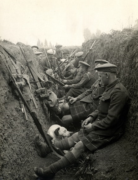 62c6b3f2b9a8aac7543dd0be Trenches%20Edit