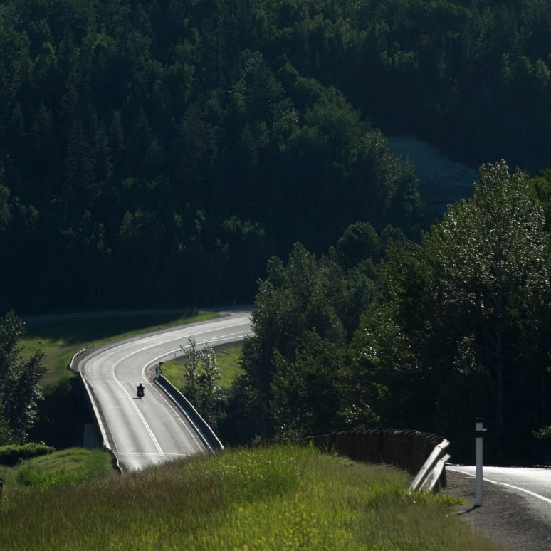 Motorcyclist out for a drive in the country on a tree lined road.