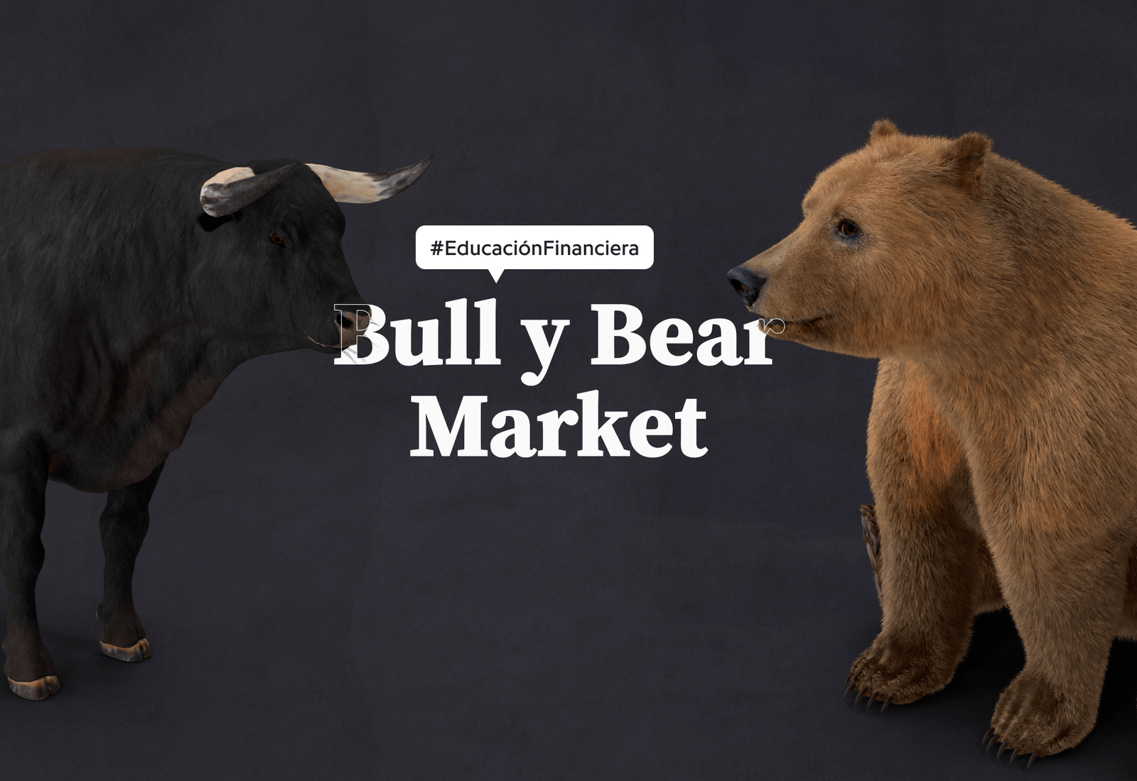 Toros vs. Osos ¿Qué es el Bull y Bear Market? HoldoLens