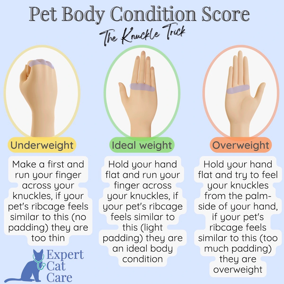 Cat Body Condition Score Chart | How to Score Your Cat 1-9