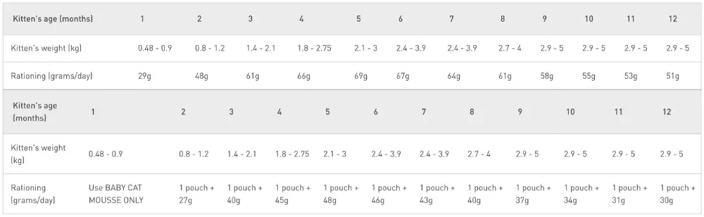 Wet and/or Dry Cat Food Calculator: How Much to Feed a Cat