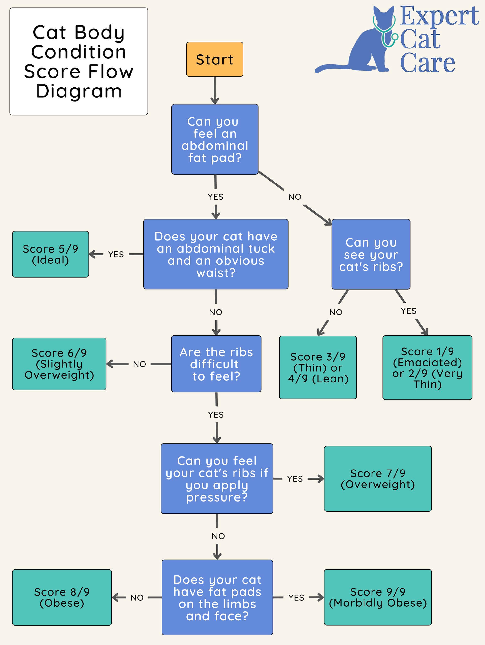 Cat Body Condition Score Chart | How to Score Your Cat 1-9