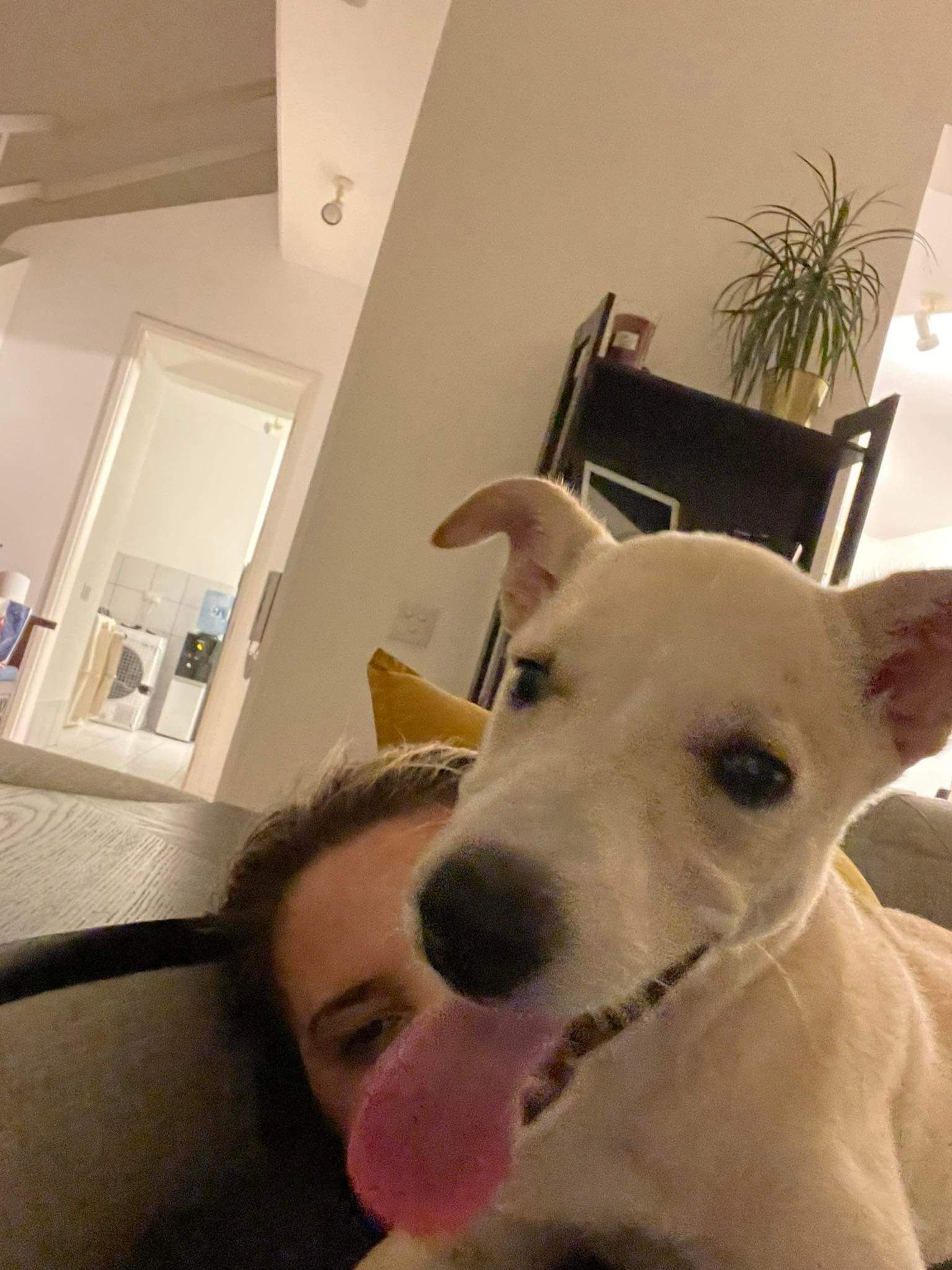 Dani's Success Story | BARC