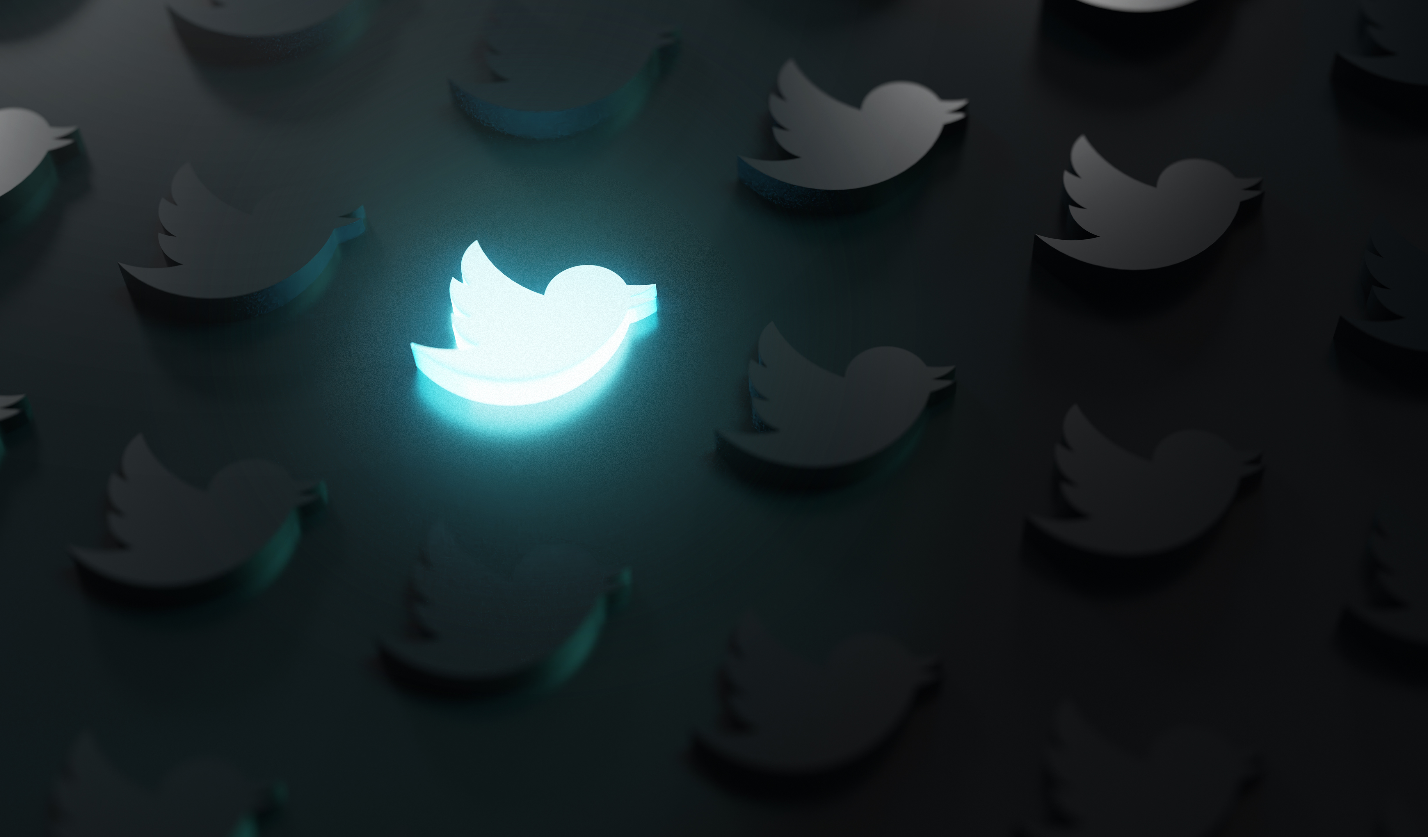 glowing twitter icon in dark background