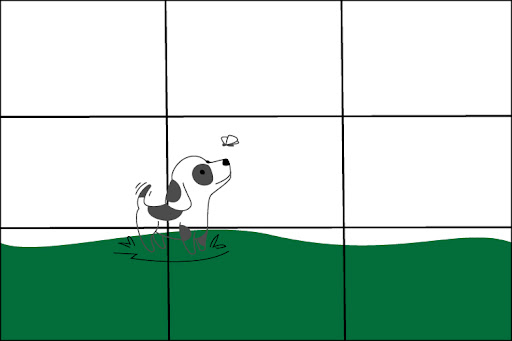 Image of a dog in white and green frames